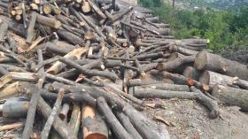 Իջևանի ոստիկանները ստուգայցեր են իրականացրել փայտամշակման արտադրամասեր Իջևանի ոստիկանները ստուգայցեր են իրականացրել փայտամշակման արտադրամասեր