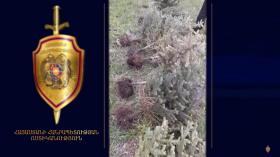 Ստեփանավանի ոստիկանները բացահայտեցին պետական հասարակական ունեցվածքի գողությունը Ստեփանավանի ոստիկանները բացահայտեցին պետական հասարակական ունեցվածքի գողությունը