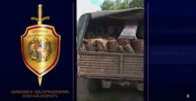 Գուգարքի ոստիկանները ապօրինի ծառահատման հերթական դեպքն են բացահայտել