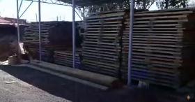 Մասիսի ոստիկանները Արգավանդի արտադրամասերում ապօրինի փայտանյութ են հայտնաբերել
