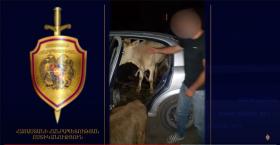 Հորթերը Լուսաղբյուր գյուղում գողացել ու մեքենայով տարել էր Սպիտակ․ Անիի ոստիկանների բացահայտումը Հորթերը Լուսաղբյուր գյուղում գողացել ու մեքենայով տարել էր Սպիտակ․ Անիի ոստիկանների բացահայտումը
