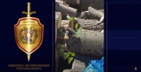 Օգոստոսի 8-ին և 9-ին Գուգարքի ոստիկաններն ապօրինի ծառահատման դեպքեր են բացահայտել