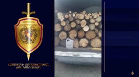 Ոստիկանության Անիի բաժնի ծառայողներն ապօրինի ծառահատման դեպք են բացահայտել Ոստիկանության Անիի բաժնի ծառայողներն ապօրինի ծառահատման դեպք են բացահայտել