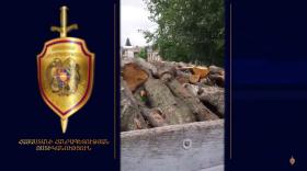 Ստեփանավանի ոստիկաններն ապօրինի ծառահատման դեպք են բացահայտել Ստեփանավանի ոստիկաններն ապօրինի ծառահատման դեպք են բացահայտել