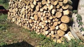 Իջևանի ոստիկանները ապօրինի ծառահատումների դեպքեր են բացահայտել Իջևանի ոստիկանները ապօրինի ծառահատումների դեպքեր են բացահայտել