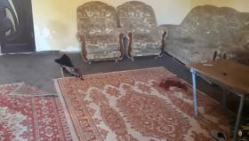 Նարեկ գյուղում որդին դանակով սպանել է մորը․ Արտաշատի ոստիկանների բացահայտումը Նարեկ գյուղում որդին դանակով սպանել է մորը․ Արտաշատի ոստիկանների բացահայտումը