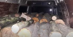 Գուգարքի համայնքային ոստիկանները ապօրինի ծառահատման դեպք են բացահայտել Գուգարքի համայնքային ոստիկանները ապօրինի ծառահատման դեպք են բացահայտել