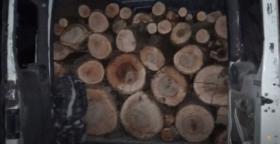 Սպիտակի ոստիկանները ապօրինի ծառահատման դեպք են բացահայտել Սպիտակի ոստիկանները ապօրինի ծառահատման դեպք են բացահայտել