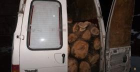 Ապօրինի ծառահատում Վահագնաձոր գյուղի անտառում․ Գուգարքի ոստիկանների բացահայտումը Ապօրինի ծառահատում Վահագնաձոր գյուղի անտառում․ Գուգարքի ոստիկանների բացահայտումը