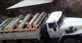 Դիլիջանի ոստիկանները ապօրինի ծառահատման դեպք են բացահայտել․ գերաններով «Ուրալը» տեղափոխվել է բաժին Դիլիջանի ոստիկանները ապօրինի ծառահատման դեպք են բացահայտել․ գերաններով «Ուրալը» տեղափոխվել է բաժին