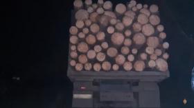 20 խմ ապօրինի փայտանյութը փորձել էր Երևան տեղափոխել․ ոստիկանության բացահայտումը 20 խմ ապօրինի փայտանյութը փորձել էր Երևան տեղափոխել․ ոստիկանության բացահայտումը