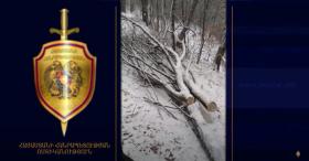 Ապօրինի ծառահատում «Դիլիջան ազգային պարկում»․ Դիլիջանի ոստիկանների բացահայտումը Ապօրինի ծառահատում «Դիլիջան ազգային պարկում»․ Դիլիջանի ոստիկանների բացահայտումը