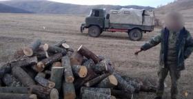 Հունվարի 12-ին Տավուշի բաժնի ոստիկաններն ապօրինի ծառահատման դեպքեր են բացահայտել Հունվարի 12-ին Տավուշի բաժնի ոստիկաններն ապօրինի ծառահատման դեպքեր են բացահայտել