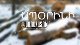 Գուգարքի բաժնի ոստիկաններն ապօրինի ծառահատման դեպք են բացահայտել Գուգարքի բաժնի ոստիկաններն ապօրինի ծառահատման դեպք են բացահայտել