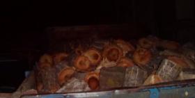 Ստեփանավանի ոստիկանները ապօրինի ծառահատման դեպք են բացահայտել Ստեփանավանի ոստիկանները ապօրինի ծառահատման դեպք են բացահայտել