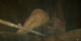 Վարդենիսի ոստիկաններն անասնագողության դեպք են բացահայտել՝ հայտնաբերելով գողոնը Վարդենիսի ոստիկաններն անասնագողության դեպք են բացահայտել՝ հայտնաբերելով գողոնը