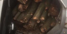 Ապօրինի ծառահատման հերթական դեպքը բացահայտել են Թումանյանի ոստիկանները Ապօրինի ծառահատման հերթական դեպքը բացահայտել են Թումանյանի ոստիկանները