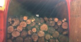 Ապօրինի ծառահատում․ Դիլիջանի ոստիկանների բացահայտումը Ապօրինի ծառահատում․ Դիլիջանի ոստիկանների բացահայտումը