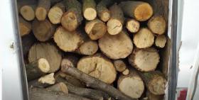 Ապրիլի 12-ին, 13-ին ու 14-ին Գուգարքի ոստիկաններն ապօրինի ծառահատման դեպքեր են բացահայտել Ապրիլի 12-ին, 13-ին ու 14-ին Գուգարքի ոստիկաններն ապօրինի ծառահատման դեպքեր են բացահայտել