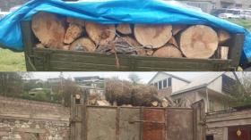 Ապօրինի ծառահատումներ Տավուշում․ Իջևանի ոստիկանների բացահայտումը Ապօրինի ծառահատումներ Տավուշում․ Իջևանի ոստիկանների բացահայտումը