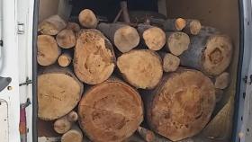 Մայիսի լույս 3-ի գիշերը Գուգարքի ոստիկաններն ապօրինի ծառահատման դեպքեր են բացահայտել Մայիսի լույս 3-ի գիշերը Գուգարքի ոստիկաններն ապօրինի ծառահատման դեպքեր են բացահայտել