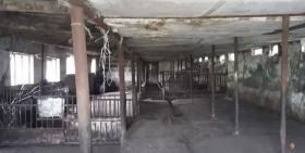 Անասնագողություն Արփի գյուղում․ Եղեգնաձորի ոստիկանների բացահայտումը Անասնագողություն Արփի գյուղում․ Եղեգնաձորի ոստիկանների բացահայտումը