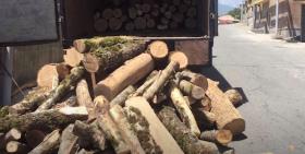 Մեղրիի ոստիկաններն ապօրինի ծառահատման դեպքեր են բացահայտել Մեղրիի ոստիկաններն ապօրինի ծառահատման դեպքեր են բացահայտել