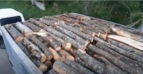 Սպիտակի համայնքային և ՊՊԾ դասակի ոստիկանները ապօրինի ծառահատման դեպքեր են բացահայտել Սպիտակի համայնքային և ՊՊԾ դասակի ոստիկանները ապօրինի ծառահատման դեպքեր են բացահայտել