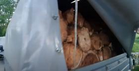 Ոստիկանության Գուգարքի բաժնի ծառայողներն ապօրինի ծառահատման դեպքեր են բացահայտել Ոստիկանության Գուգարքի բաժնի ծառայողներն ապօրինի ծառահատման դեպքեր են բացահայտել