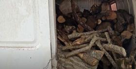 Գորիսի ոստիկաններն ապօրինի ծառահատման դեպք են բացահայտել Գորիսի ոստիկաններն ապօրինի ծառահատման դեպք են բացահայտել