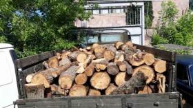 Դիլիջանի ոստիկաններն ապօրինի ծառահատման դեպք են բացահայտել Դիլիջանի ոստիկաններն ապօրինի ծառահատման դեպք են բացահայտել