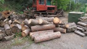 Բացահայտվել է «Դիլիջան ազգային պարկ»-ում կատարված ապօրինի ծառահատման դեպք Բացահայտվել է «Դիլիջան ազգային պարկ»-ում կատարված ապօրինի ծառահատման դեպք