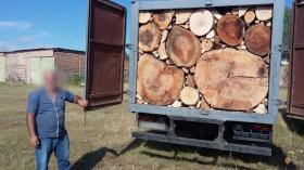 Արագածի բաժնի ոստիկաններն ապօրինի ծառահատման դեպք են բացահայտել Արագածի բաժնի ոստիկաններն ապօրինի ծառահատման դեպք են բացահայտել