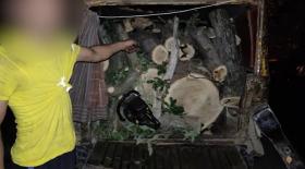 Դսեղի հարակից անտառից ծառ հատած երիտասարդը հայտնաբերվեց Դսեղի հարակից անտառից ծառ հատած երիտասարդը հայտնաբերվեց