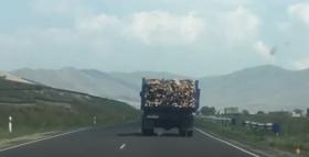 Արագածի բաժնի համայնքային ոստիկաններն ապօրինի փայտանյութ են հայտնաբերել Արագածի բաժնի համայնքային ոստիկաններն ապօրինի փայտանյութ են հայտնաբերել