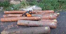 Ապարանի համայնքային ոստիկաններն ապօրինի ծառահատման դեպք են բացահայտել Ապարանի համայնքային ոստիկաններն ապօրինի ծառահատման դեպք են բացահայտել