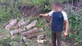 Ապօրինի ծառահատում Դսեղի անտառպետության տարածքում.  Թումանյանի բաժնի ոստիկանների բացահայտումը