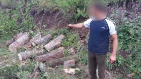 Ապօրինի ծառահատում Դսեղի անտառպետության տարածքում.  Թումանյանի բաժնի ոստիկանների բացահայտումը Ապօրինի ծառահատում Դսեղի անտառպետության տարածքում.  Թումանյանի բաժնի ոստիկանների բացահայտումը