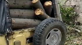 Գուգարքի ոստիկանները ապօրինի ծառահատման դեպք են բացահայտել Գուգարքի ոստիկանները ապօրինի ծառահատման դեպք են բացահայտել