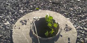 Հրազդանի Կենտրոն թաղամասից դիտահորերի կափարիչներ էին գողացել Հրազդանի Կենտրոն թաղամասից դիտահորերի կափարիչներ էին գողացել