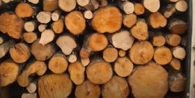 Կապանի և Գորիսի ոստիկաններն ապօրինի ծառահատման դեպքեր են բացահայտել Կապանի և Գորիսի ոստիկաններն ապօրինի ծառահատման դեպքեր են բացահայտել