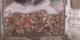 Գորիսի համայնքային ոստիկաններն ապօրինի ծառահատման դեպքեր են բացահայտել Գորիսի համայնքային ոստիկաններն ապօրինի ծառահատման դեպքեր են բացահայտել