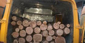 Կապանի ոստիկաններն ապօրինի ծառահատման դեպք են բացահայտել Կապանի ոստիկաններն ապօրինի ծառահատման դեպք են բացահայտել