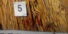 Մահացու մարմնական վնասվածք էր պատճառել եղբորը. Աշտարակի ոստիկանների բացահայտումը   Մահացու մարմնական վնասվածք էր պատճառել եղբորը. Աշտարակի ոստիկանների բացահայտումը