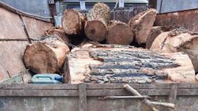 Իջևանի ոստիկանները ապօրինի փայտանյութ են հայտնաբերել Իջևանի ոստիկանները ապօրինի փայտանյութ են հայտնաբերել