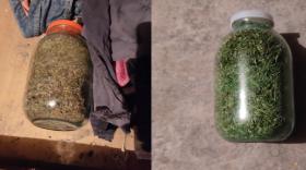 Արմավիրի ոստիկանները խոշոր չափի թմրանյութ են հայտնաբերել