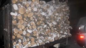 Կապանի ոստիկաններն ապօրինի ծառահատման դեպք են բացահայտել Կապանի ոստիկաններն ապօրինի ծառահատման դեպք են բացահայտել