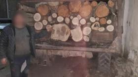 Թումանյանի ոստիկանների պայքարը ապօրինի ծառահատումների դեմ շարունակական է Թումանյանի ոստիկանների պայքարը ապօրինի ծառահատումների դեմ շարունակական է