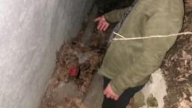 Բազումի ոստիկանները գողության դեպք են բացահայտել Բազումի ոստիկանները գողության դեպք են բացահայտել