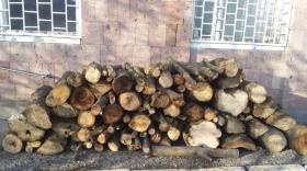 Ապօրինի ծառահատման հետքերով. Գուգարքի ոստիկանների բացահայտումը Ապօրինի ծառահատման հետքերով. Գուգարքի ոստիկանների բացահայտումը